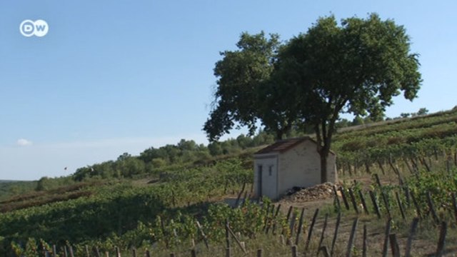 Откуда родом кагор?