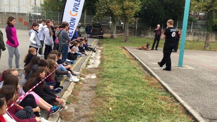 Ces chiens qui recherchent des personnes disparues en démonstration au collège Alain-Borne