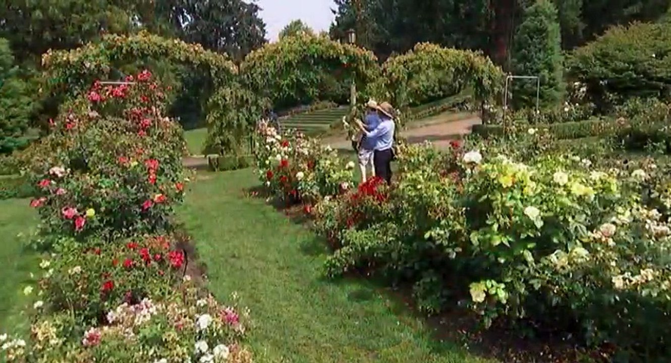 Antiques Roadshow  US  S22xxE11 Portland, Hour 2 - Part 01