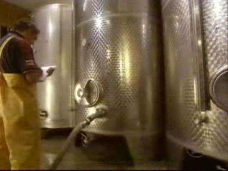Comment c'est fait - Vin
