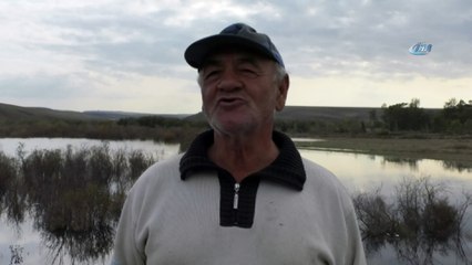 Kuyucuk Gölü kurudu, yaban hayvanları baraj gölüne sığındı