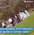 Гости устроили массовую драку на свадьбе в Семее.