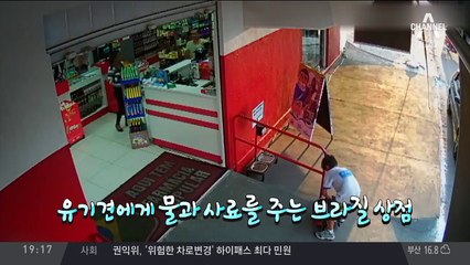 가방에 유기견 넣어온 소년