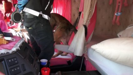 Tıra saklanan uyuşturucuyu detektör köpek buldu