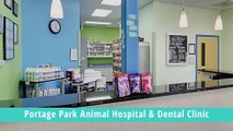Best Animal Hospital & Dental Clinic In Norridge