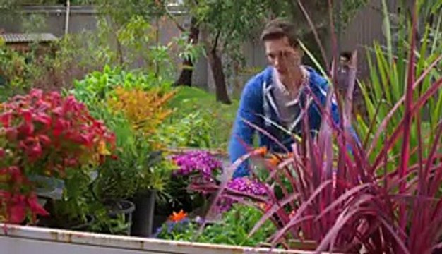Neighbours | Episode 7222 | 29th September 2015