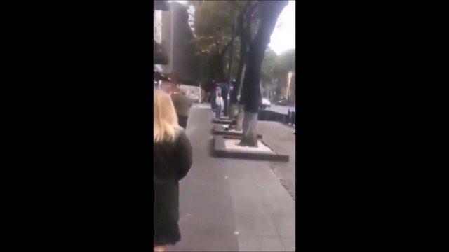 Il retrouve son chien 3 ans après l'avoir perdu... Emouvant