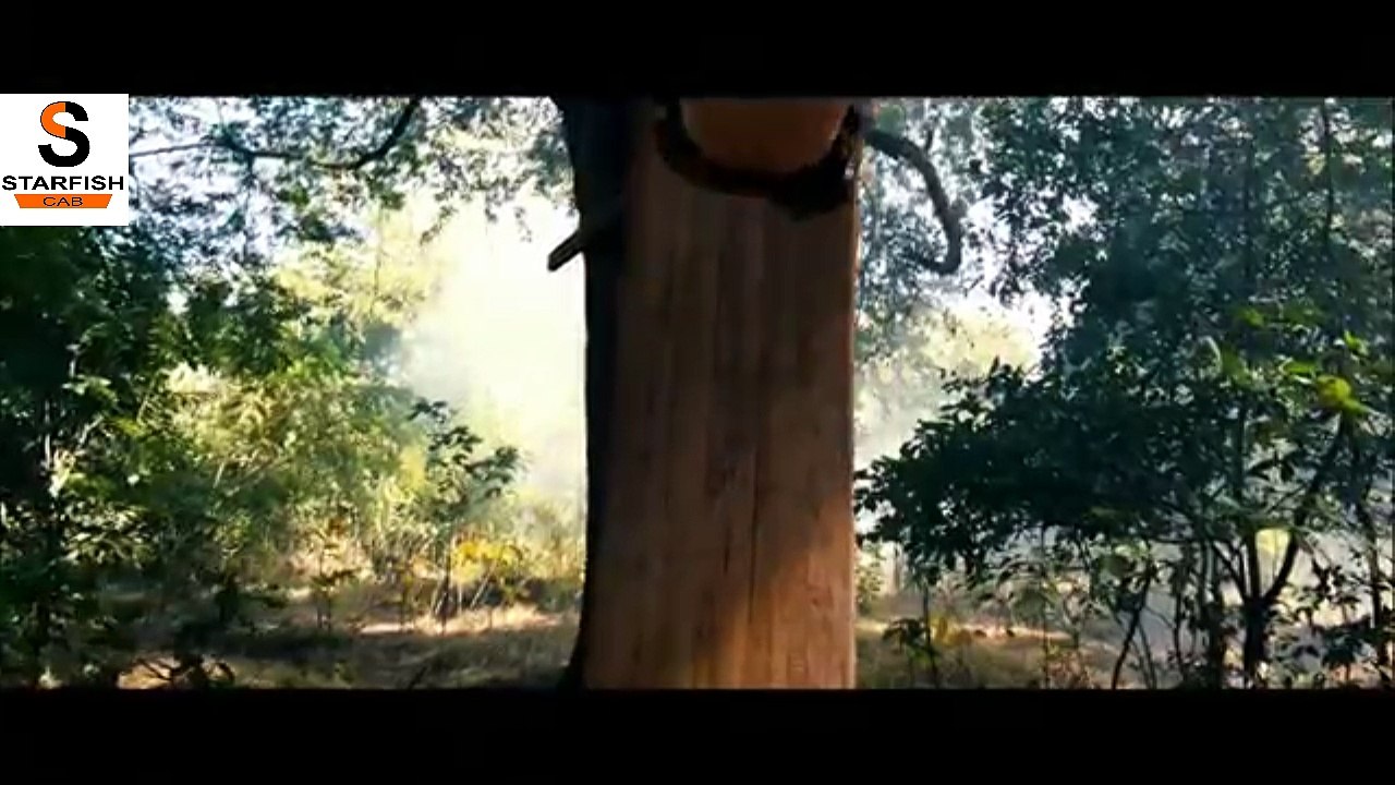 Para #Commando #Training ! #Commando Life Movie ! Movie Scene ! Edited By #StarfishCab