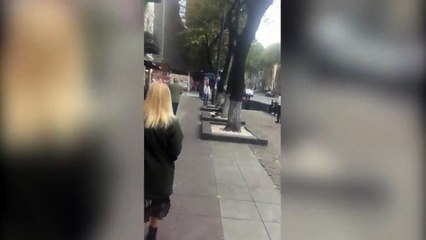 3 yıl önce kaybettiği sahibine kavuşan köpek