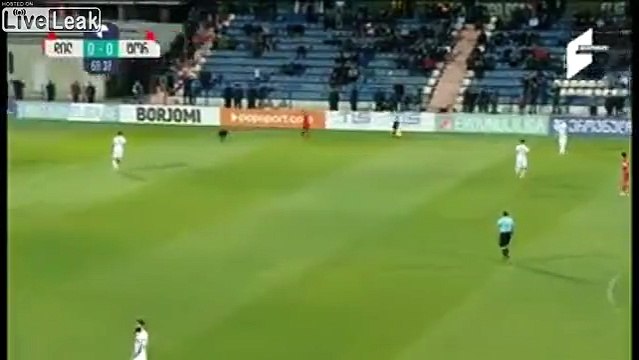 Chien sur un terrain de foot - il interrompt le match et tout le monde lui court après !