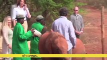 Melania Trump rencontre des bébés éléphants au Kenya [No Comment]