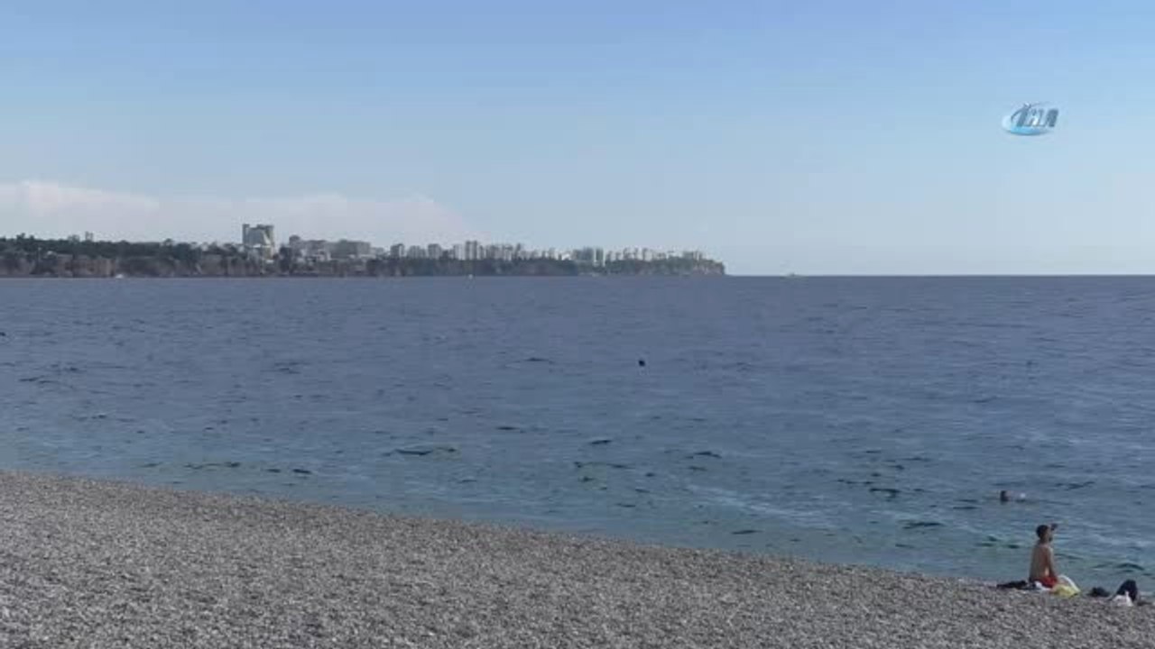 Antalya'da 6 Metre Derinlikte Aslan Balığı ve Orkinos Görüntülendi