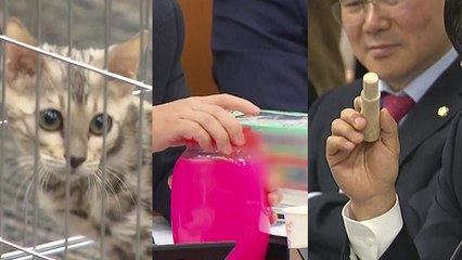 벵갈고양이에 액체 괴물까지...국정감사장 깜짝 등장 / YTN