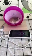 Chargeur de portable ultra rapide