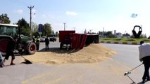 6 Ton Çeltik Yüklü Traktör Römorku Devrildi, Çiftçinin Bir Yıllık Emeği Yola Saçıldı