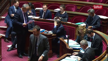 Justice : le Sénat rejette la possibilité de porter plainte en ligne en cas d’agression