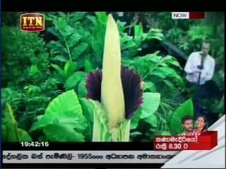 Atapattama - 10th October 2018