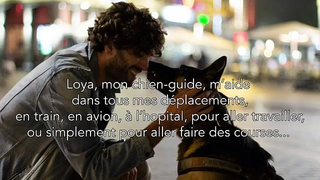 Un malvoyant et son chien-guide virés dun Monoprix (Marseille)