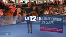 Des personnalités en cage pour la cause animale