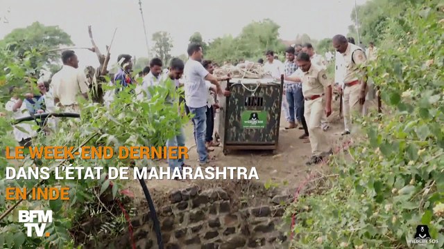 En Inde, Ils ont réussi à sauver ce léopard tombé dans un puits