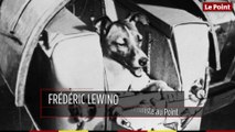 3 novembre 1957 : le jour où la chienne Laïka est mise sur orbite