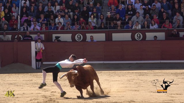 Campeonato de España de Recortes 2018, Grupo B en 4K / Spanish Bull Leapers