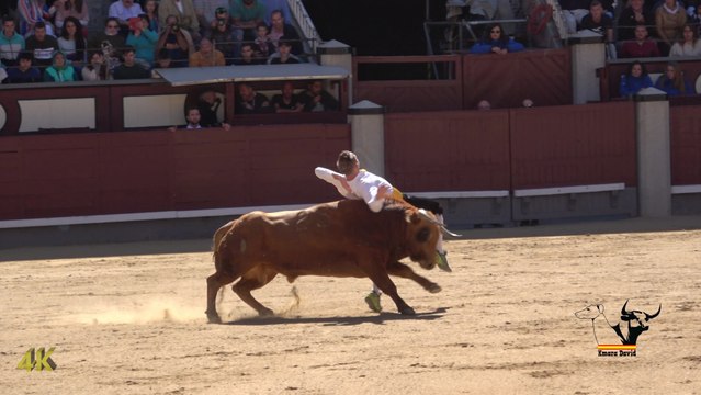 Campeonato de España de Recortes 2018, Grupo C en 4K / Spanish Bull Leapers