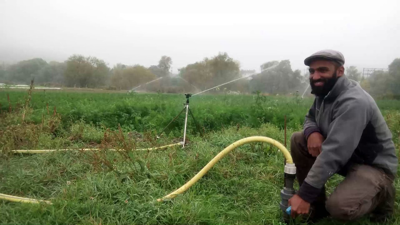 La sécheresse dans un potager bio près de Nancy.