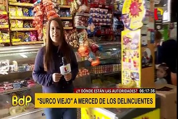 ‘Surco viejo’ está a merced de la delincuencia
