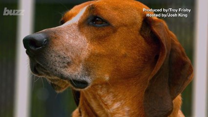 What Your Favorite Kind of Vacation Says About Your Personality