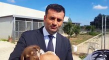 Bari: nuova sala operatoria nel rifugio per i cani, adottateli!