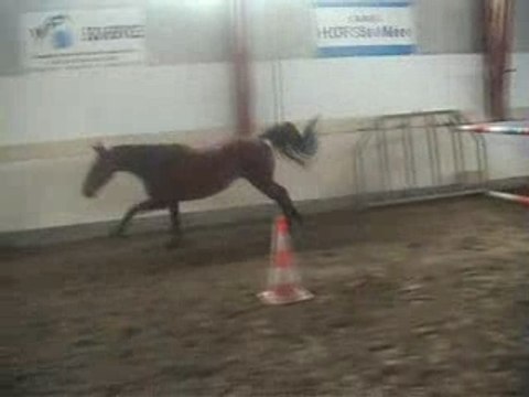 Papaye saut liberte octobre2007