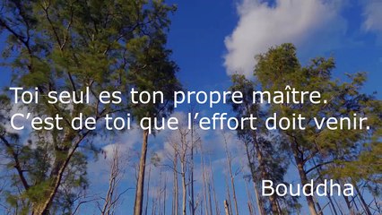 Phrases de Bouddha et musique relaxante