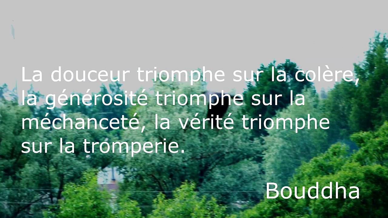 Musique et vidéo relaxante avec des phrases de Bouddha.
