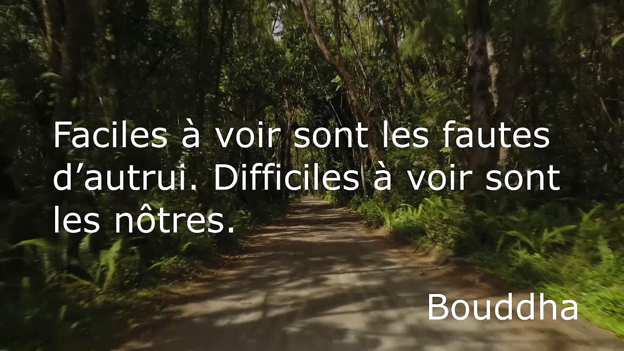 Vidéo relaxante et phrases de Bouddha pour détendre l'esprit. Musique très relaxante