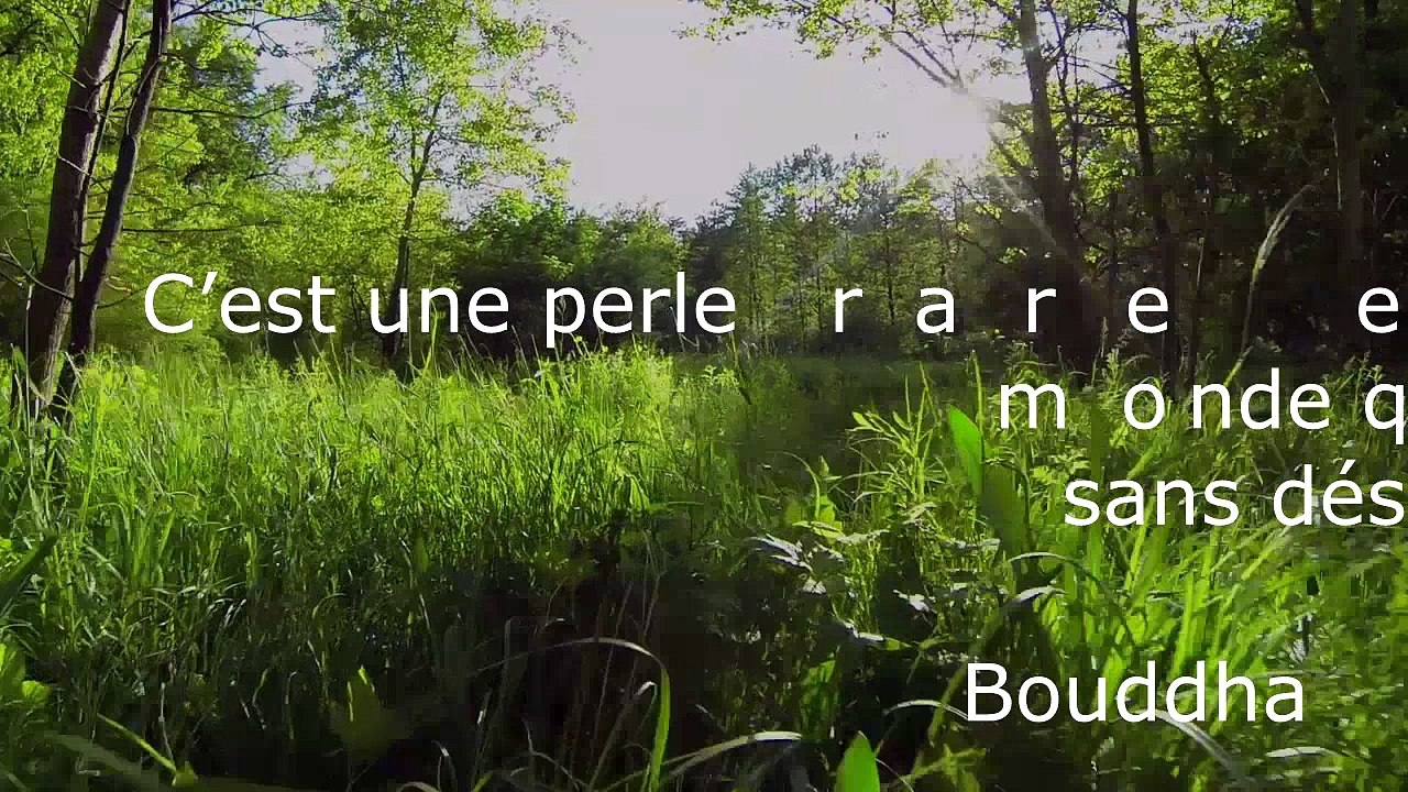 Phrases de Bouddha et musique relaxante