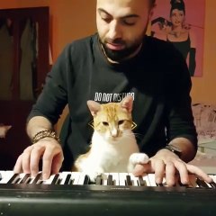 Fevzi adore écouter son maître jouer du Piano.