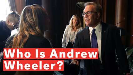 Who Is Andrew Wheeler?
