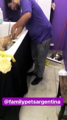 OLI y Paula con el perrito que encontraron en la calle 1 - 29 de Septiembre