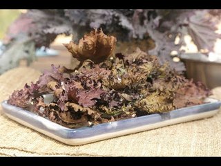 Chips de kale
