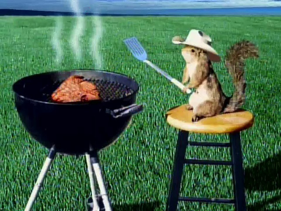 SpongeBob SquarePants S01E36 Texas video Dailymotion