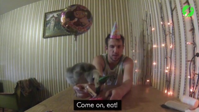 Il élève une oie sauvage et les 2 deviennent inseparables