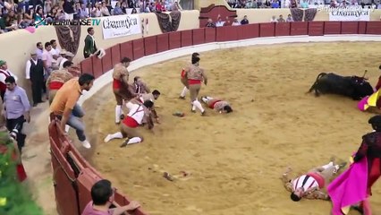 نهاية حزينة لمصارع تحدى ثور هائج