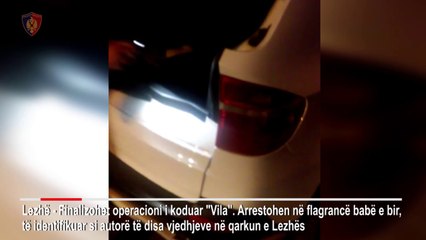 Ora News - Babë e bir kapen mat duke vjedhur vilën në Lezhë