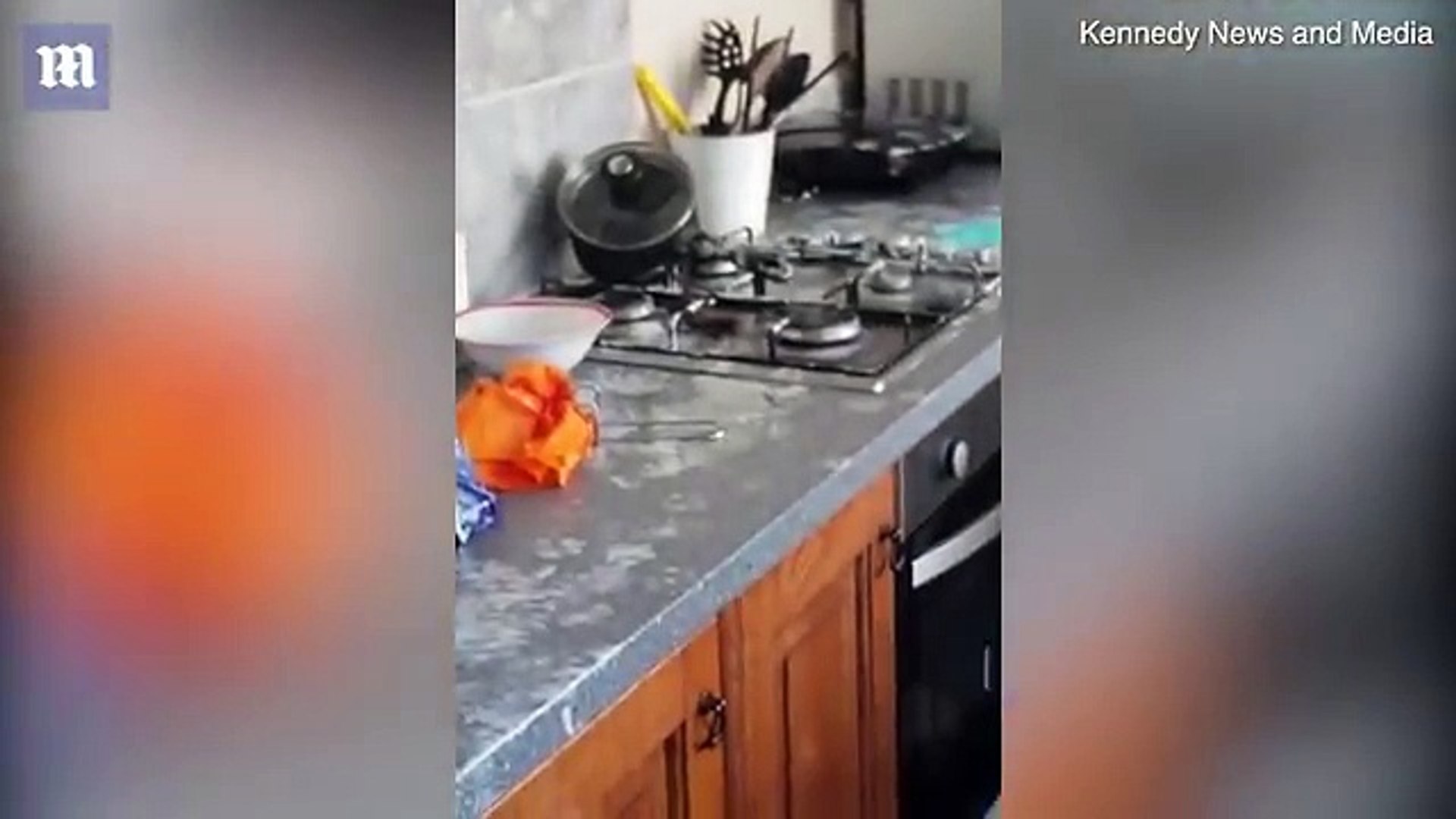 Homem retorna para encontrar sua cozinha decoração