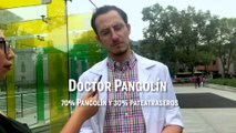 ¿Quién es Dr. Pangolín? Revista Cambio lo buscó y esto fue lo que nos dijo