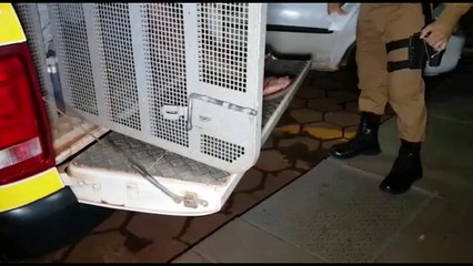 Rotam cumpre mandado de prisão por roubo