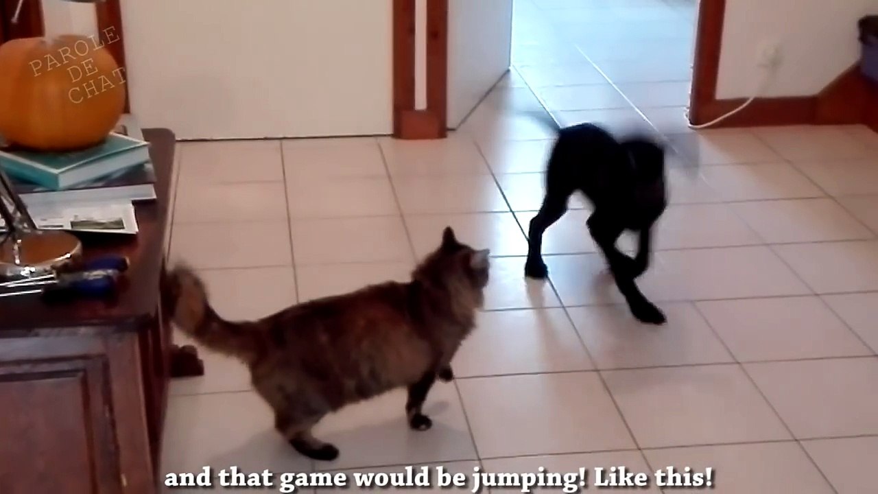 Tuto Pour Se Debarrasser D Un Boulet Video Bonus De Remerciement Pour Les 300 Sur Ulule Dailymotion Video