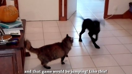 TUTO pour se débarrasser d'un boulet (vidéo BONUS de remerciement pour les 300% sur Ulule)