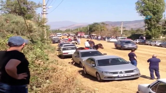 Bu defa atlar çarpıştı... İlginç kaza kamerada